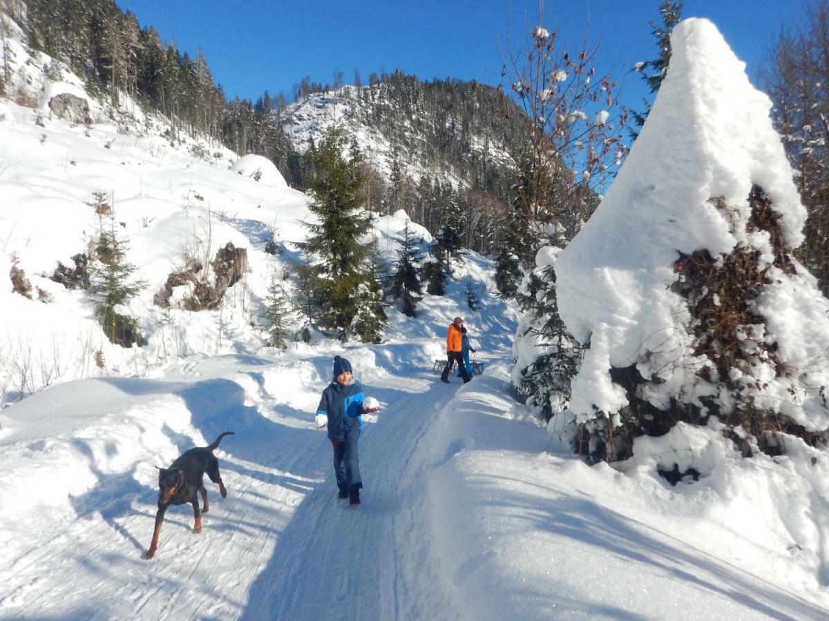 Berghof Thurnergut Spital Am Pyhrn Zewnętrze zdjęcie